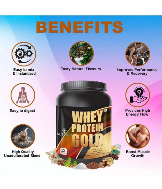 Nutriley Whey Gold Whey Protein ( 500 gm , American Icecream - Flavour )