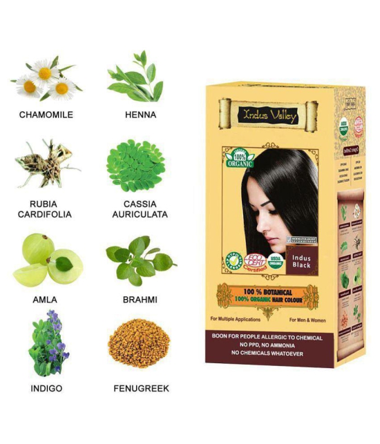 Indus Valley Botanical Allergic Sufferers Permanent Hair Color Black With 3 Eaze Spa 15ml 120 g