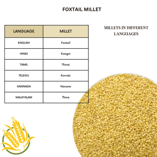 Native Pods Foxtail Millet Unpolished 1Kg- Kangni,Thinai,Navane - Natural, Organic - Gluten free and Wholesome Grain without Preservatives