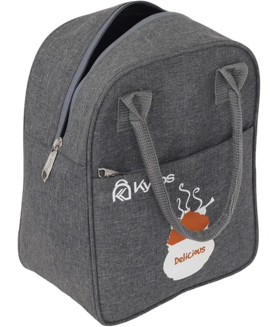 Kyros Grey Polyester Lunch Bag Pack of 1 - Grey