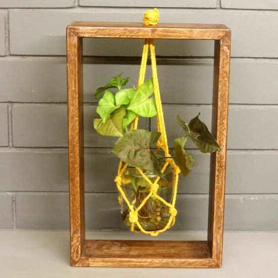 BARISH - Table Top Planter Wooden Frame (Single) | Handcrafted with Rubberwood | Wooden Frame with Glass Mason Jars | Indoor Planter with Stand 15.25 x 9.5 x 2 Inches