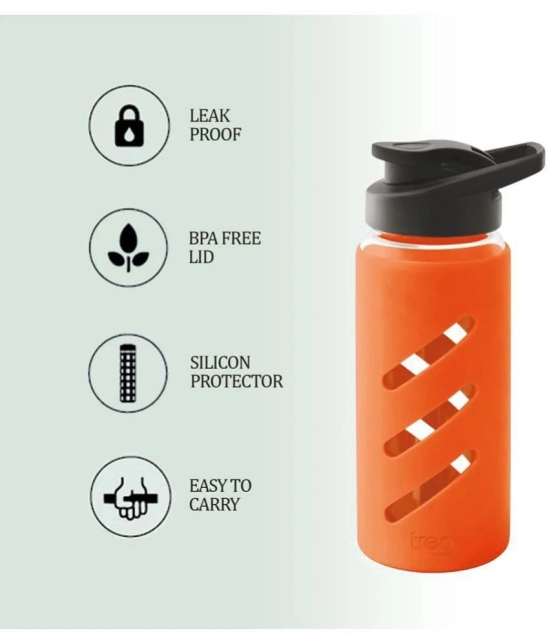 Treo By Milton Proteger 500 Borosilicate Glass Bottle With Silicon Protector, 535 ml, Orange | Microwave Safe | Oven Safe | Scratch Resistant | Easy to Clean | Leak Proof | BPA Free Lid | Ea