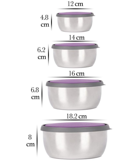 HomePro Steel Silver Food Container ( Set of 5 ) - Silver