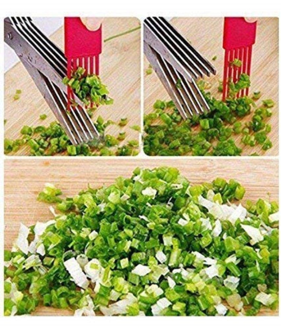 Multi-Function 5 Blade Vegetable Stainless Steel Herbs Scissor - Durable, Time-Saving Kitchen Cutting Tool - Color May Vary