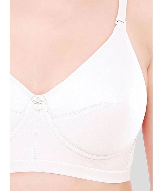 Bodycare White Cotton Lightly Padded Womens Everyday Bra ( Pack of 1 ) - None