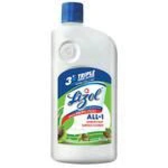 Lizol All In 1 Disinfectant Surface & Floor Cleaner - Pine, Kills 99.9% Germs, 975 Ml(Savers Retail)