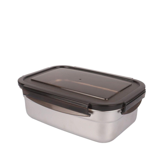 Femora Lunch Box High Steel Rectangle Container with Lock Lid Lunch Box Airtight Leakproof Unbreakable Storage Container for Office-College-School, 850 Ml/gm, Storage Container Silver