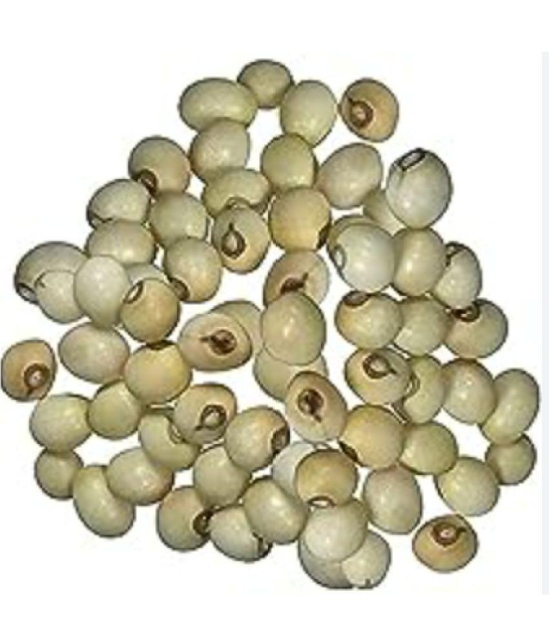 SHUBH SIDDHI - Chirmi Beads Gunja 1 100 gm ( Pack of 21 )