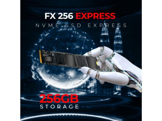 Foxin FX 256 Express NVME SSD