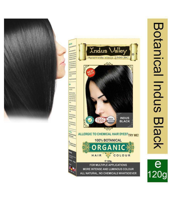 Indus Valley Botanical Hair Color Indus Black Pack 1