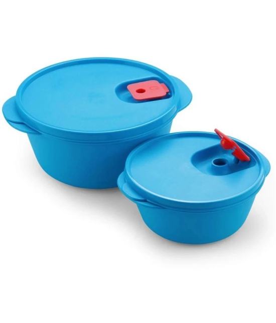 Oliveware Plastic Blue Food Container ( Set of 2 ) - Blue