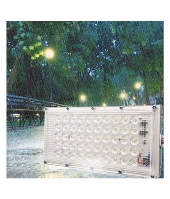 Achat 50 Watts IP 65 Flood Light Cool Day Light - Pack of 2