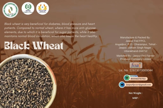 Black Wheat