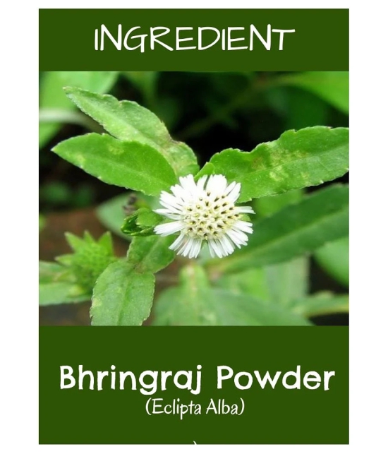 MR Ayurveda 100% Organic Bhringraj Powder Hair Scalp Treatment 100 g