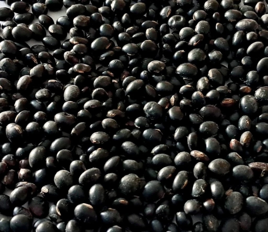 Black soyabean