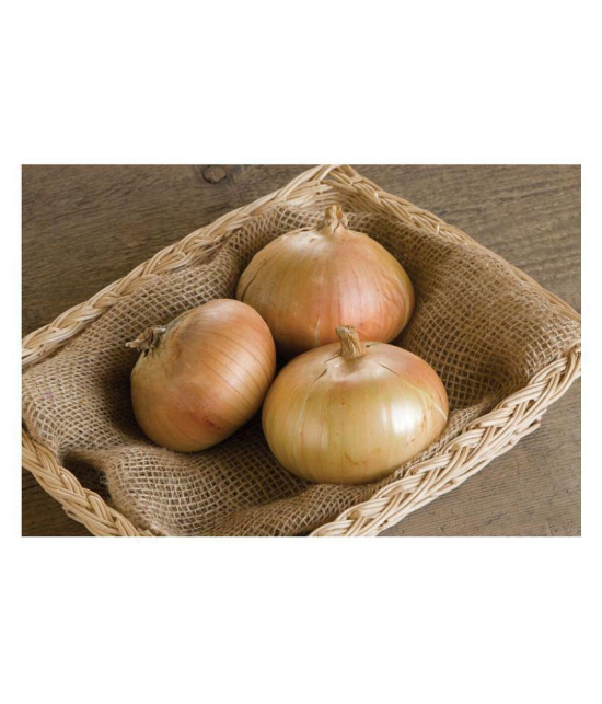 Onion Seeds, Kanda - 200 Seeds