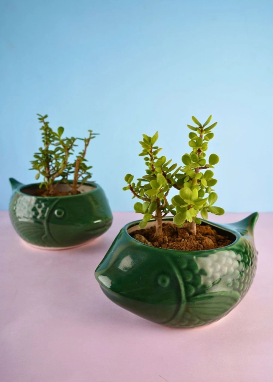 Green Catfish Planter