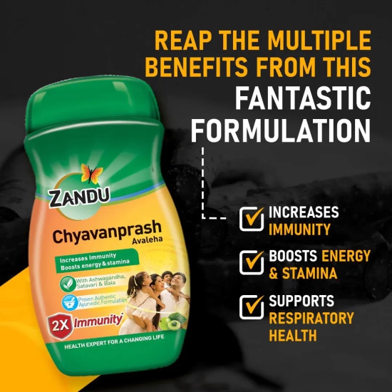 Zandu Chyavanprash Avaleha 450g