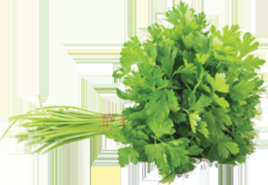 Exotic Flat Parsley 50 Gms