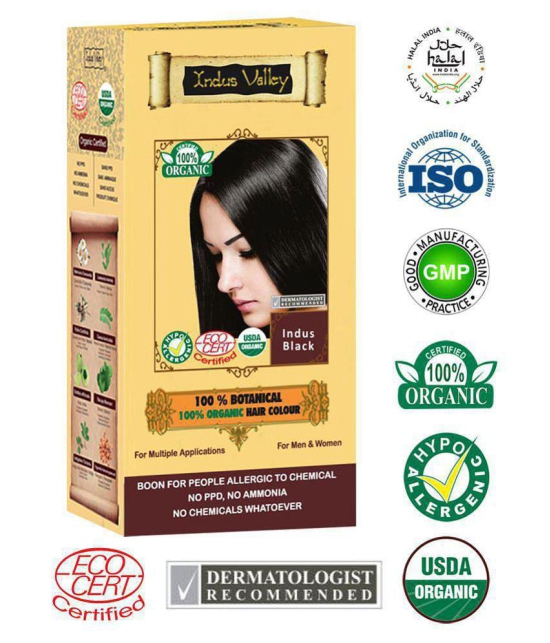 Indus Valley Botanical Allergic Sufferers Permanent Hair Color Black With 3 Eaze Spa 15ml 120 g