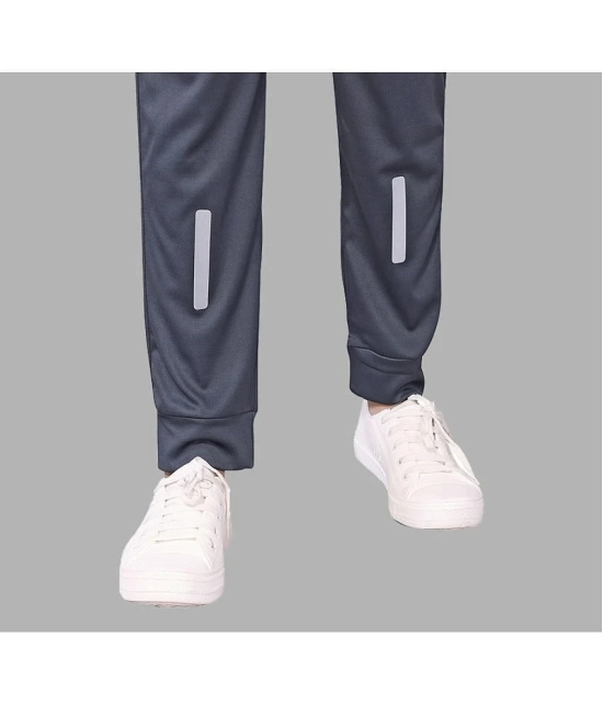 Anand Grey Lycra Mens Joggers ( Pack of 1 ) - None