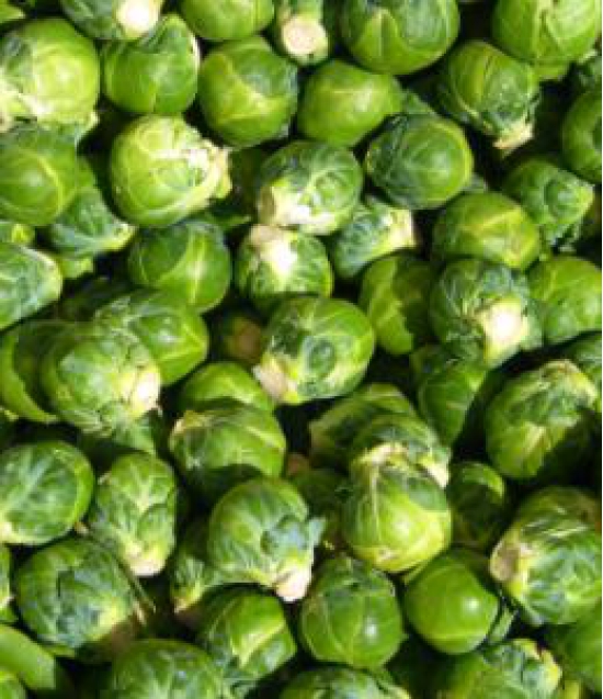 Sprouts - Brussel 500 Gms