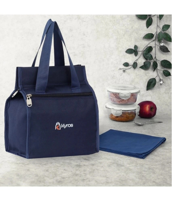 Kyros Multi Color Polyester Lunch Bag Pack of 2 - Multi Color