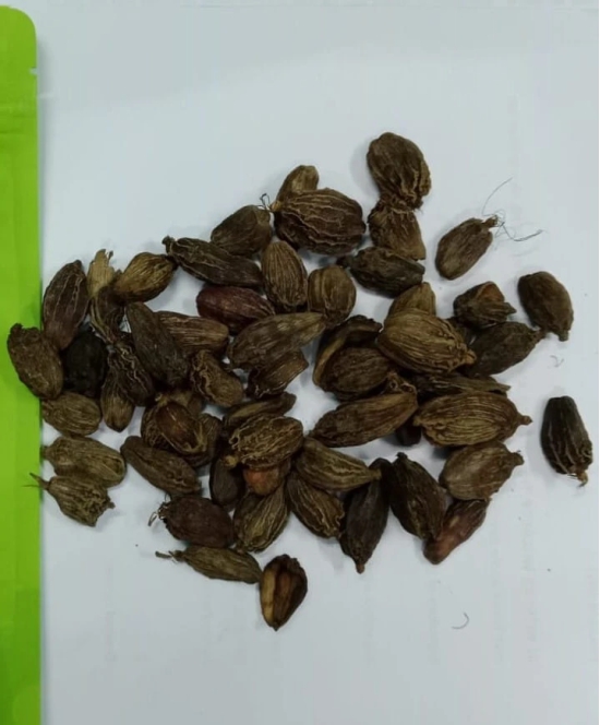 Black cardamom