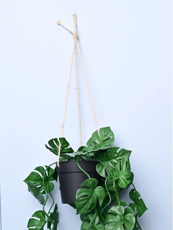 Green Hanging Planter - Cylindrical Shape