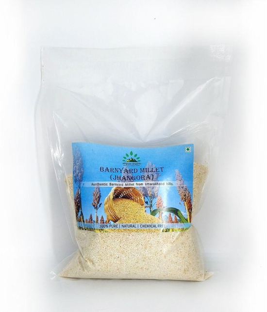 Hillpure Organic Barnyard Millet 1 kg