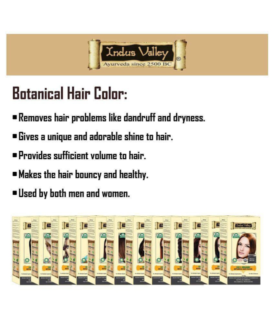 Indus Valley Botanical Hair Color Indus Black Pack 1