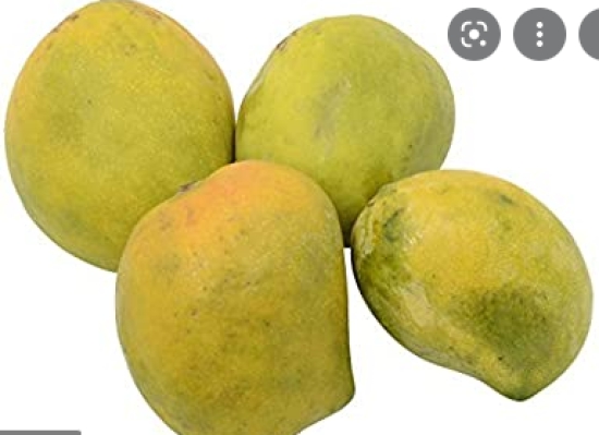 Buy Pairi Mango 1 Kg Online | Khojle by Jagran