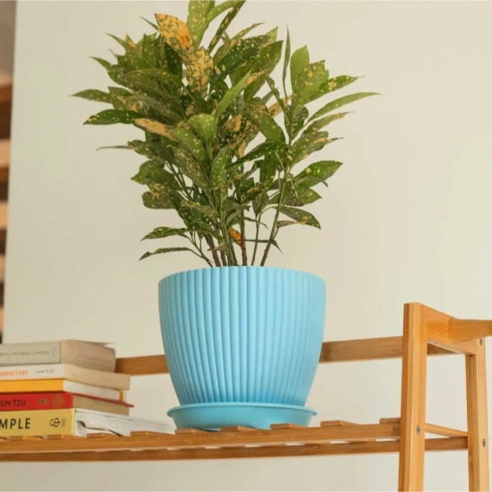 Fluted Dome Plastic Pot with Tray | Set of 5 Jodhpur Blue