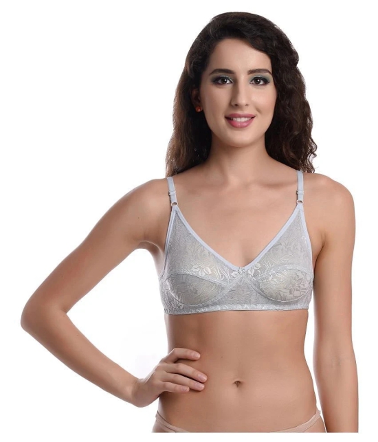 Madam Net/Mesh T-Shirt Bra - Grey Single - 38B