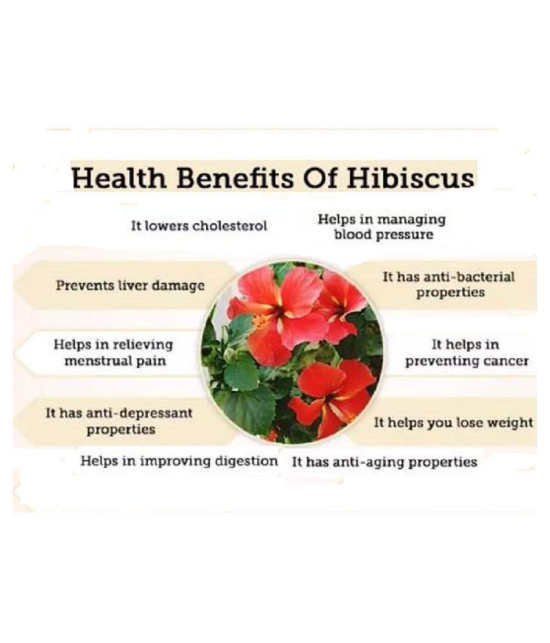 BioMed HIBISCUS (Organic) Powder 100 gm