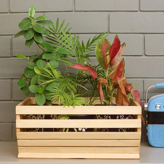 Barish - Handcrafted Rubberwood Planter Basket | Planter Baskets Living Room | Storage Baskets | Ideal for Gifting