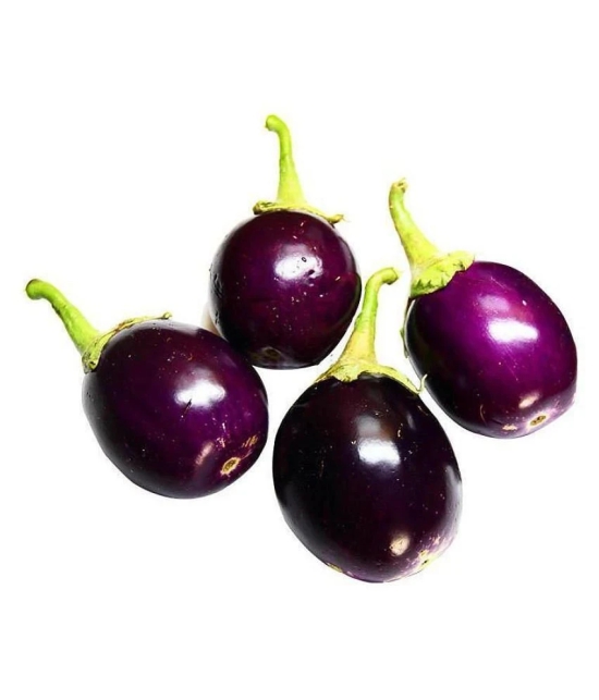 GREEN INDIA FREES PURPLE BRINJAL ROUND HYBRID 100% ORIGINAL SEEDS