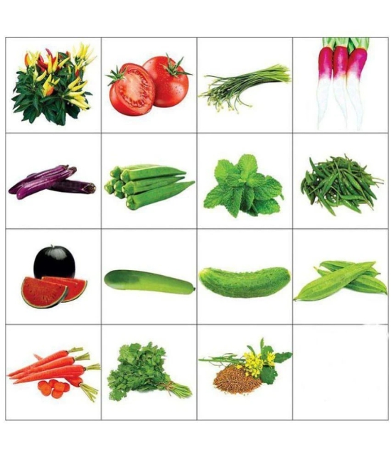 Combo of Fifteen Summer Kitchen Garden Hybrid Seeds ,15 Variety for your Kitchen Garden Vegetable Seeds