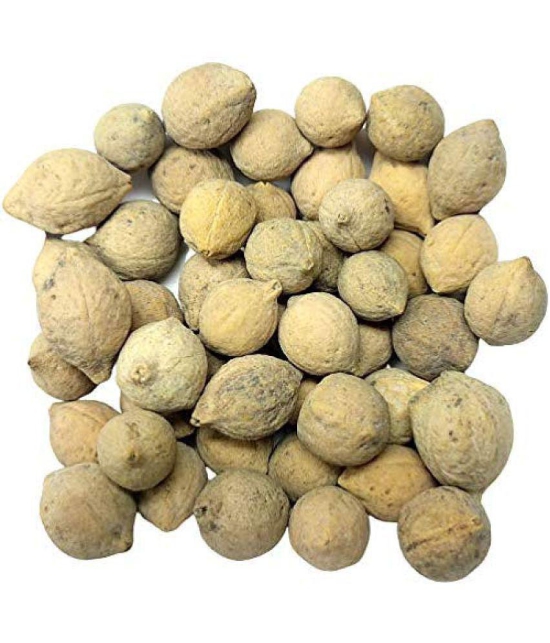 Nutrixia Food Putrajeevak Beej Putrajivak Seeds  Putrijivak Beej 100 gm