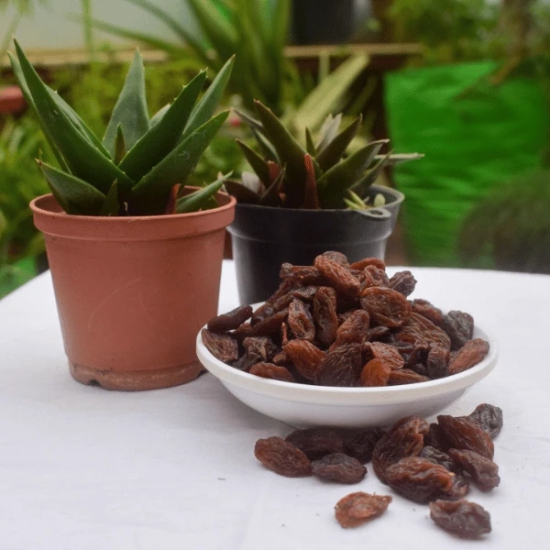 Black Raisins (Sulphur-Free)