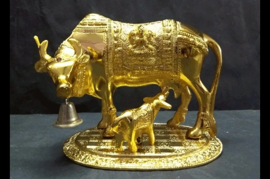 Cow and Calf Super Gold Big