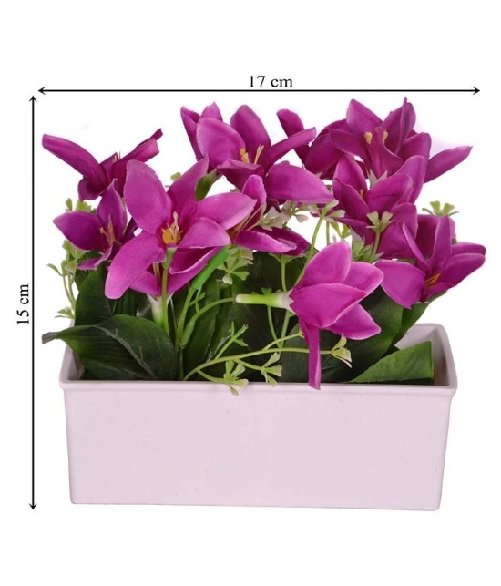 YUTIRITI Lily Purple Flowers With Pot - Pack of 1