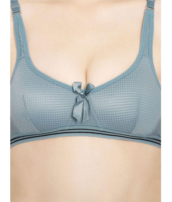 ILRASO - Blue Cotton Blend Lightly Padded Women's Plunge Bra ( Pack of 1 ) - None