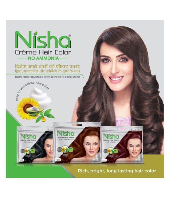 Nisha CREME HAIR COLOR Permanent Hair Color Black NATURAL BLACK 40 g Pack of 10