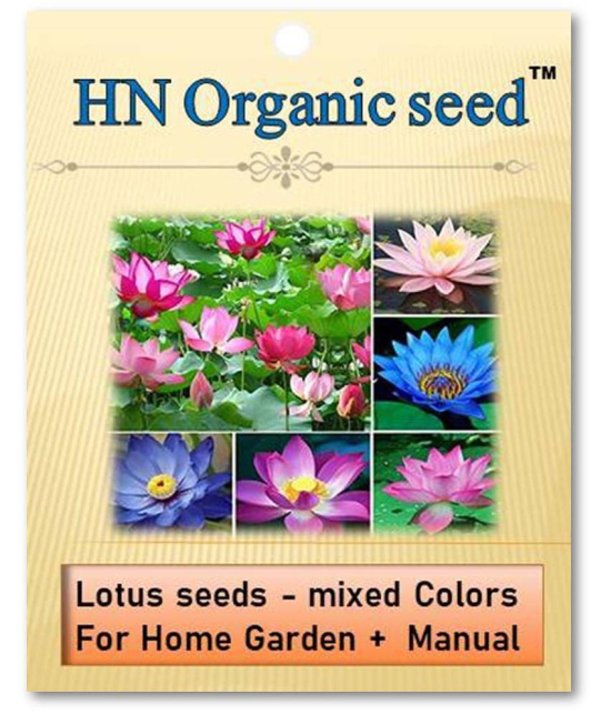 homeagro - Fruit Seeds ( Lotus seeds -mixed colours 20 seeds )