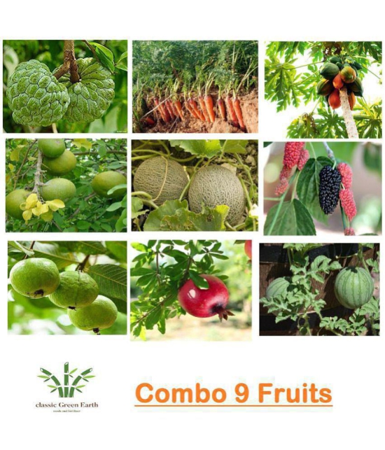 COMBO OF 9 FRUITS 500+ SEEDS