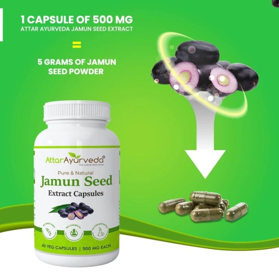 Attar Ayurveda Jamun Seed Extract Capsule 500mg, 60 capsules