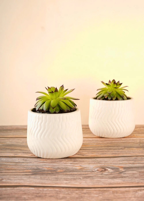 Essential White Planter