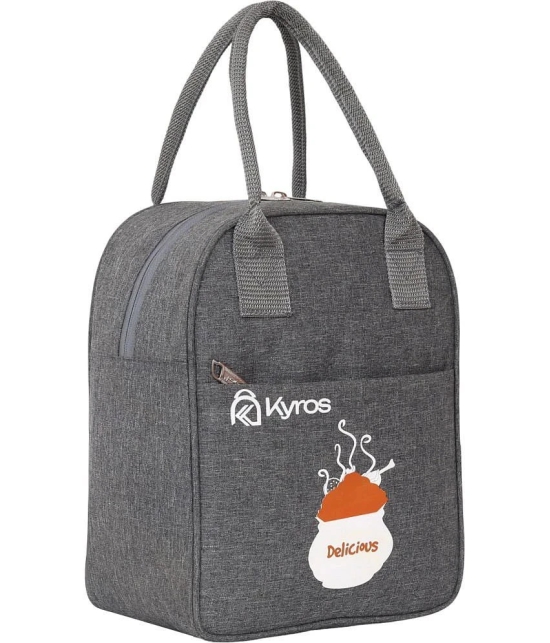 Kyros Grey Polyester Lunch Bag Pack of 1 - Grey