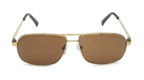 Brown Navigator Sunglasses for Men